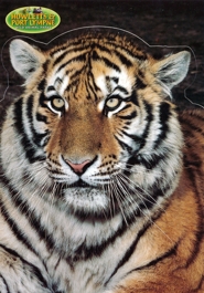 Howletts & Port Lympne Wild Animal Parks