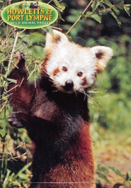 Howletts & Port Lympne Wild Animal Parks